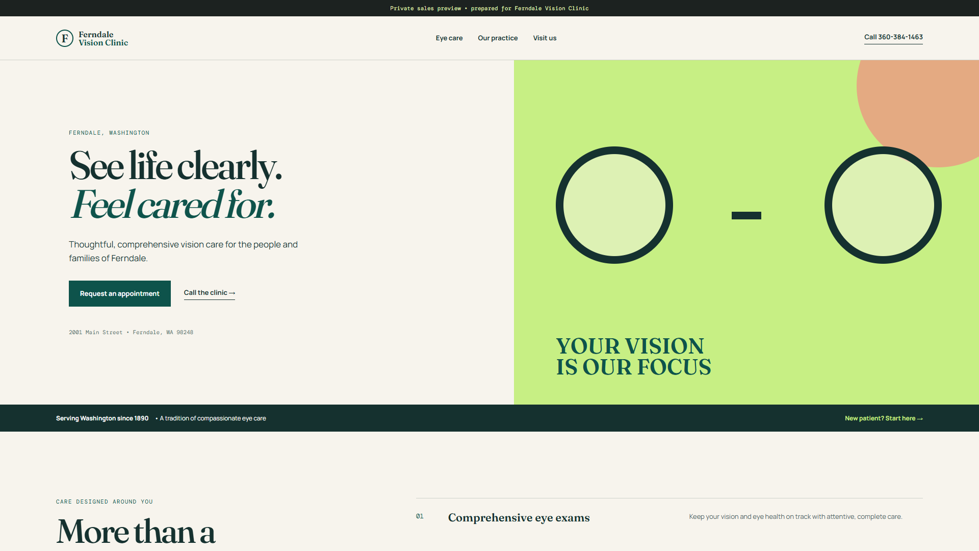 Ferndale Vision Clinic live website concept